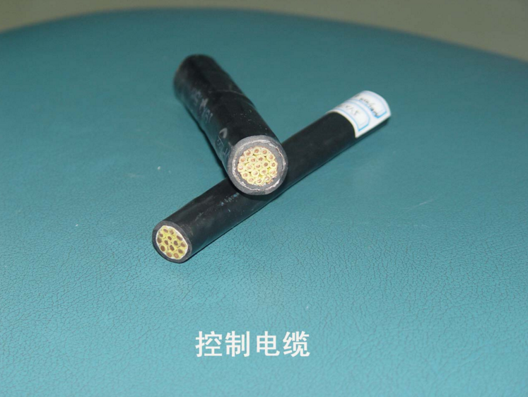 乐动网页版